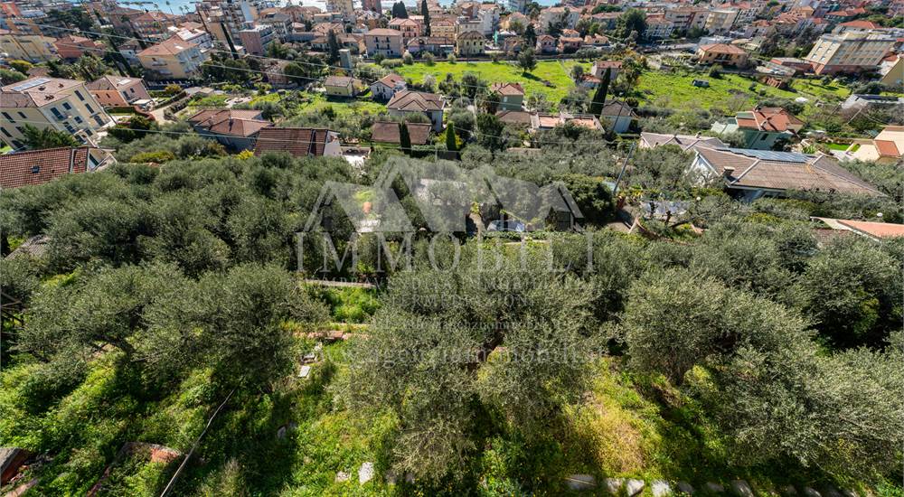 terreno